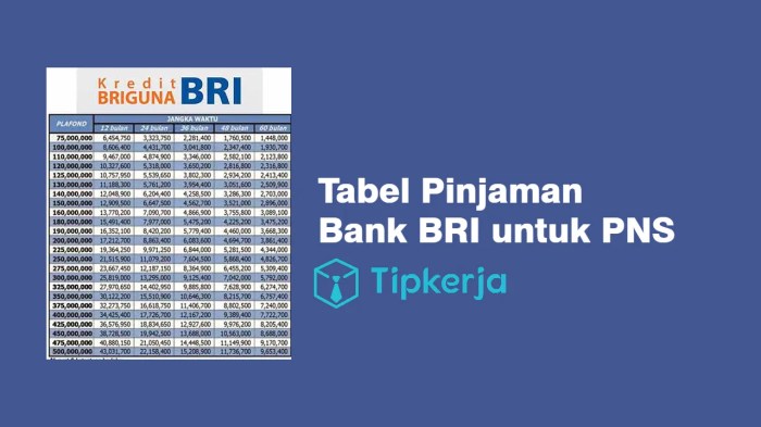 Kredit rumah lewat bank bri