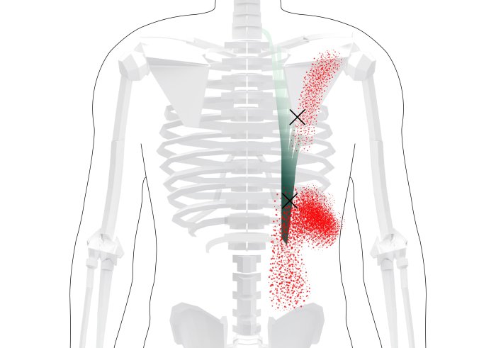 Spine spinal tmj chiropractic