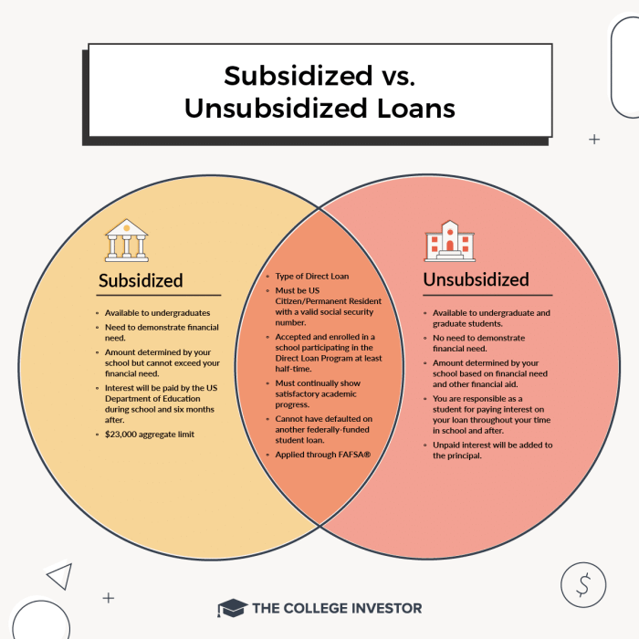 Loan subsidized graduate