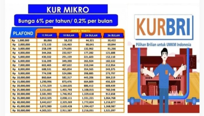 Simulasi take over kpr bri