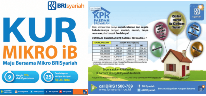 Kpr subsidi bri