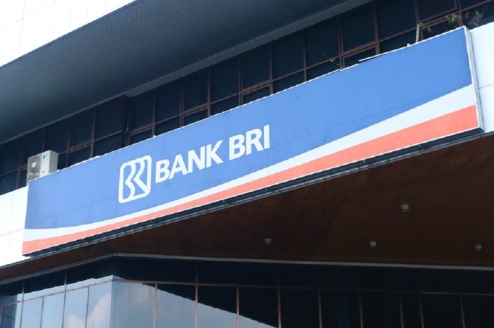 Pinjaman bri untuk beli rumah