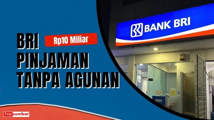 Pinjaman bri untuk beli rumah