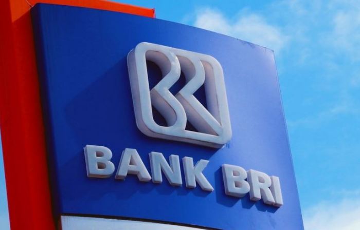 Pengajuan kredit rumah bank bri