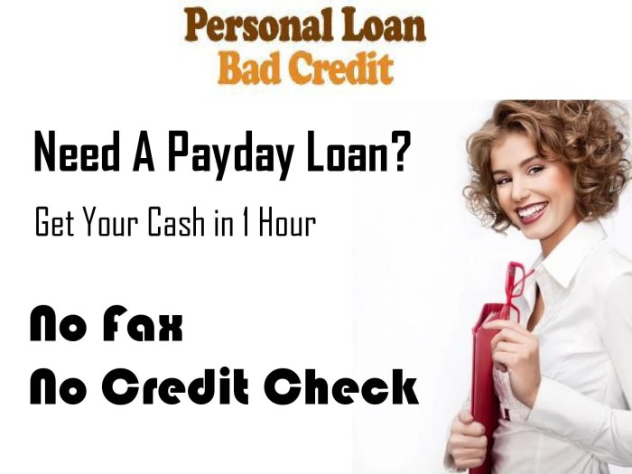 Loans payday instant installment