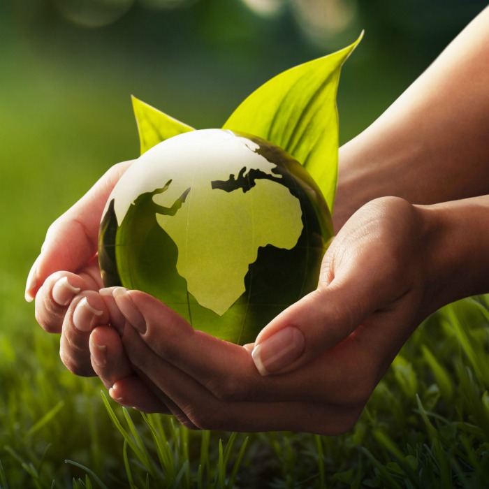 Sustainability global important