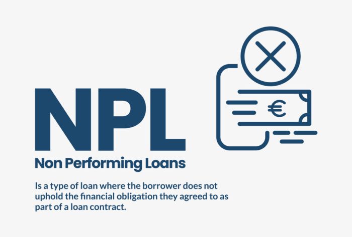 Loan npl deposit ldr performing rasio definisi